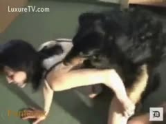 A brunette copulates a dark dog with little love muffins.